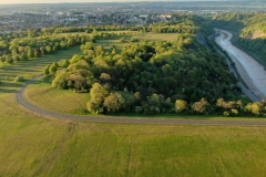 The Downs at dawn