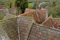 Roof Detail, Gaunts Earthcott